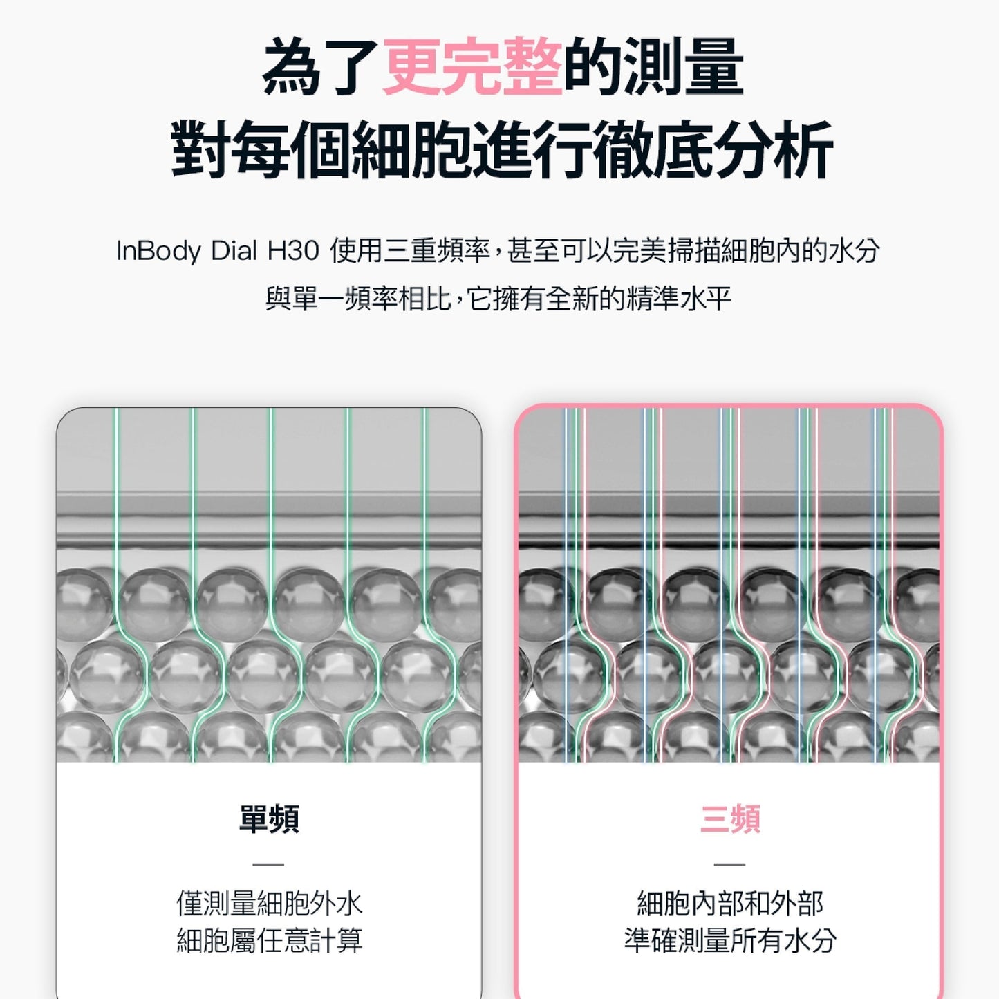 (-9/15 23:59) 跑者肌地 x InBody｜InBody H30NWi 無線網路型號體脂計✨｜限時團購